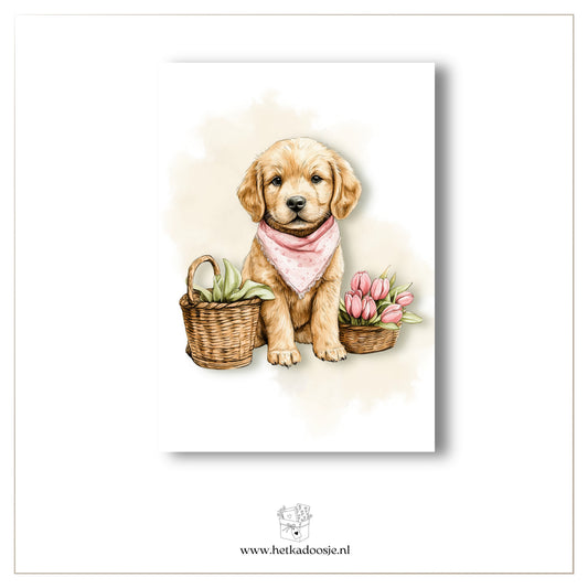 Hondje met halsdoek
