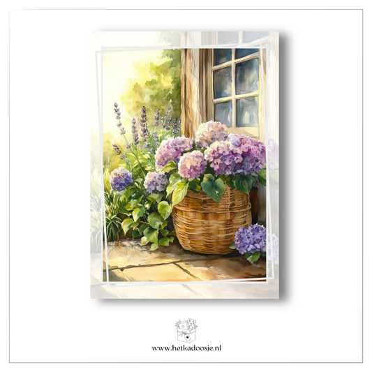 Stilleven hortensias