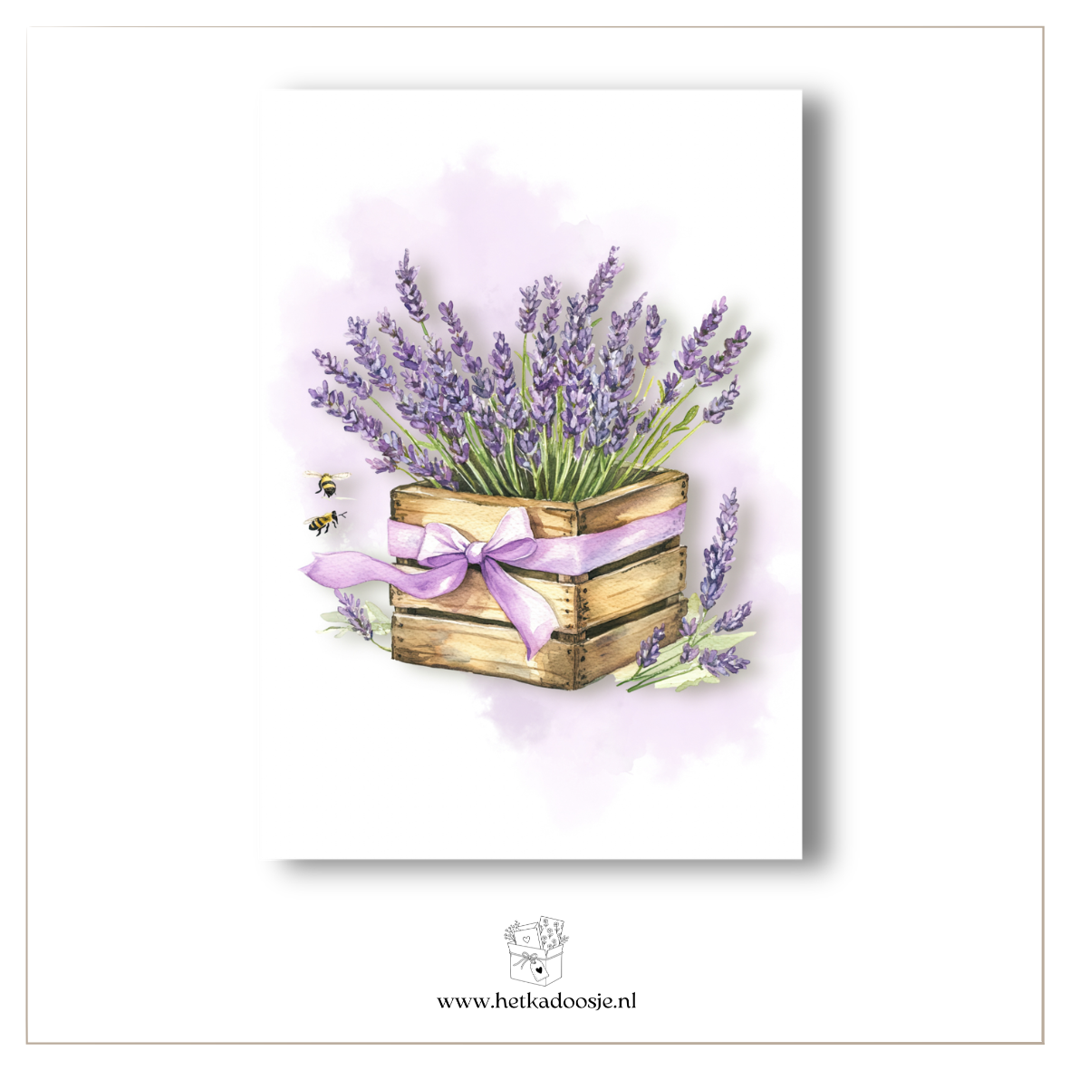 Lavendel